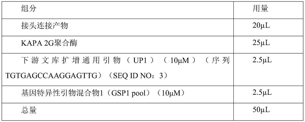 Whole genome combination targeted amplification library construction method and reagents and pathogen detection method