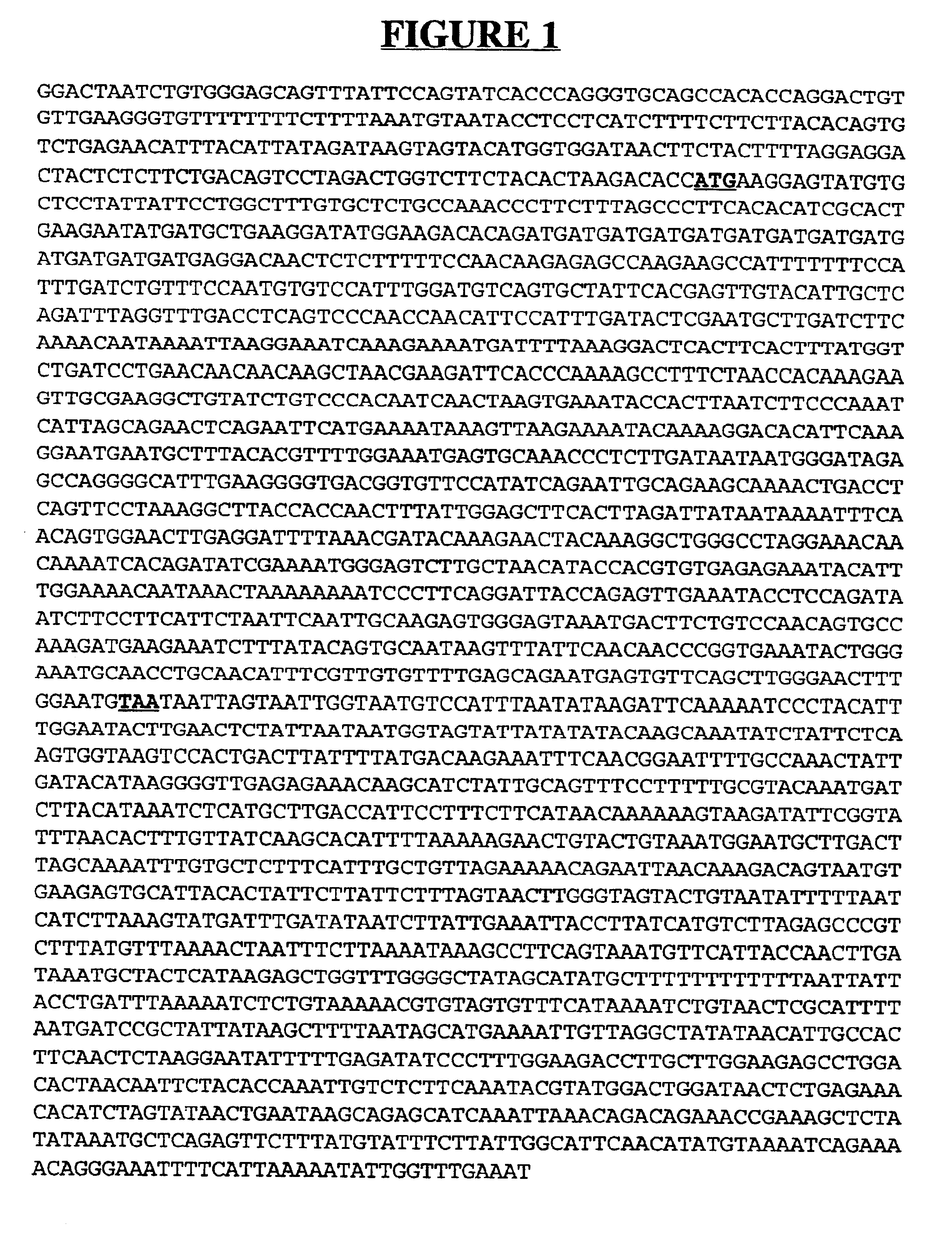 Secreted and transmembrane polypeptides and nucleic acids encoding the same