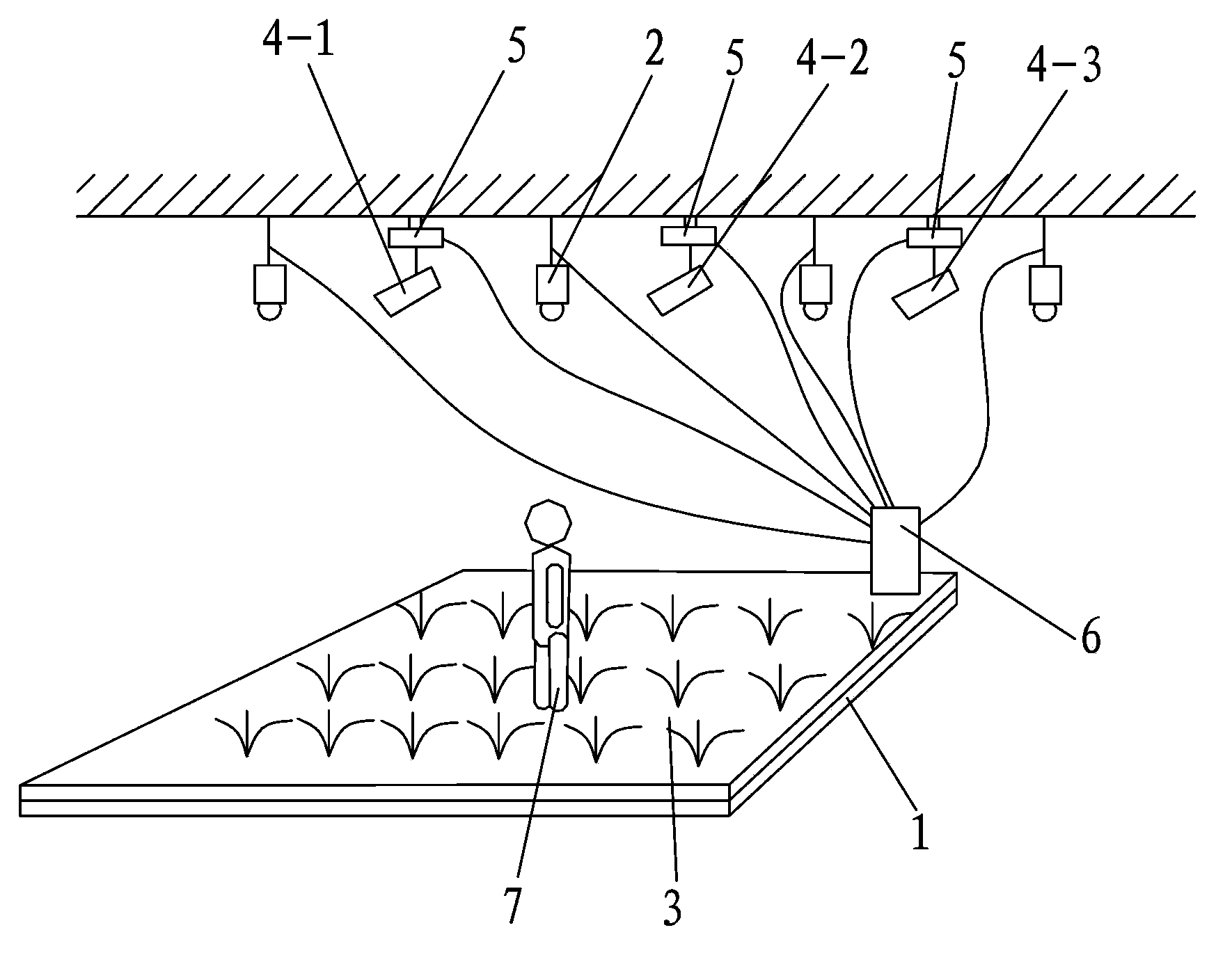 System for human and laser interactive performance