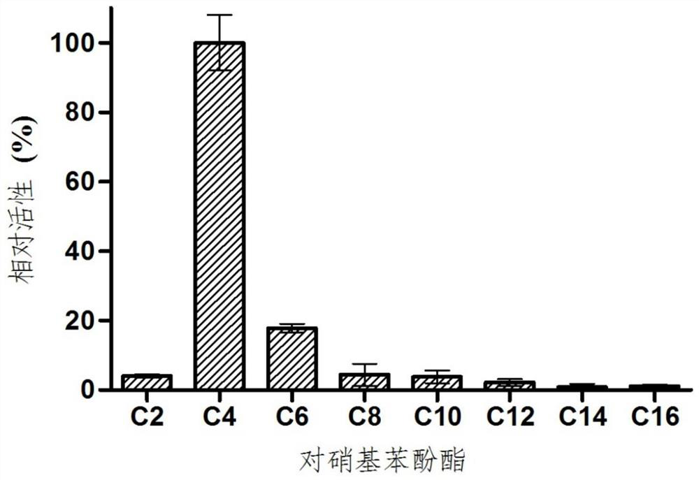 A novel deep-sea thermostable alkaline esterase and its application