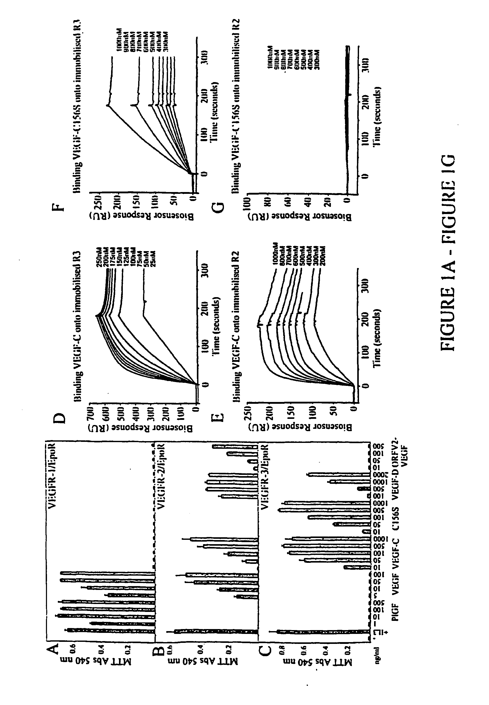 Lymphatic endothelial cells materials and methods