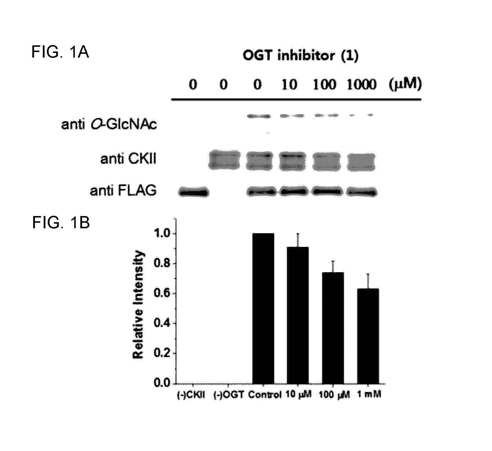 C1-Phostphonate Analogue of UDP-GlcNAc for Inhibition of O-GlcNAc Transferase