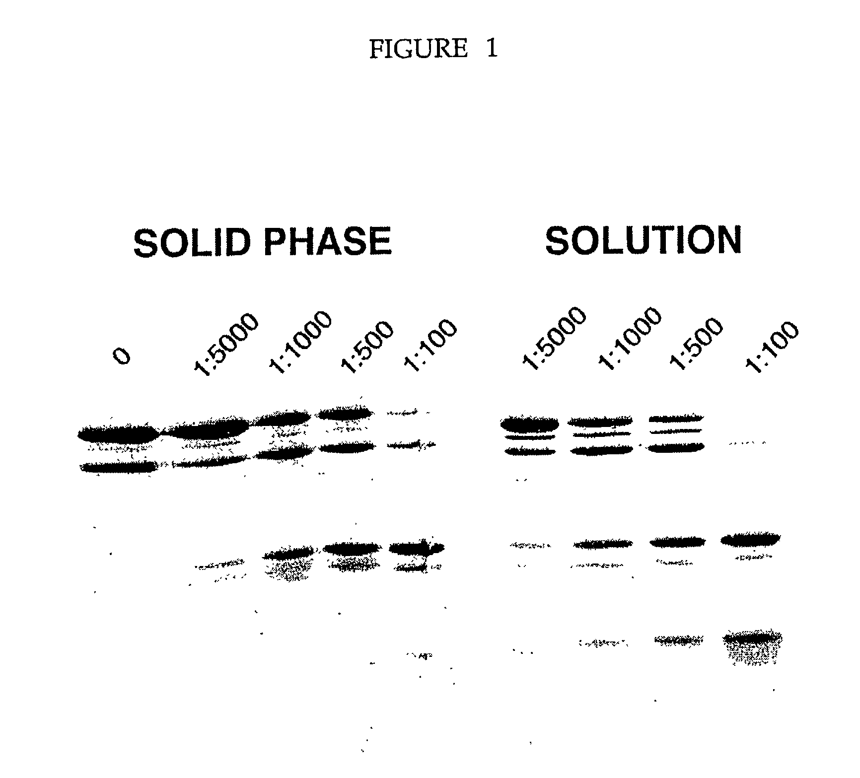 Device and method for the determination of protein domain boundaries