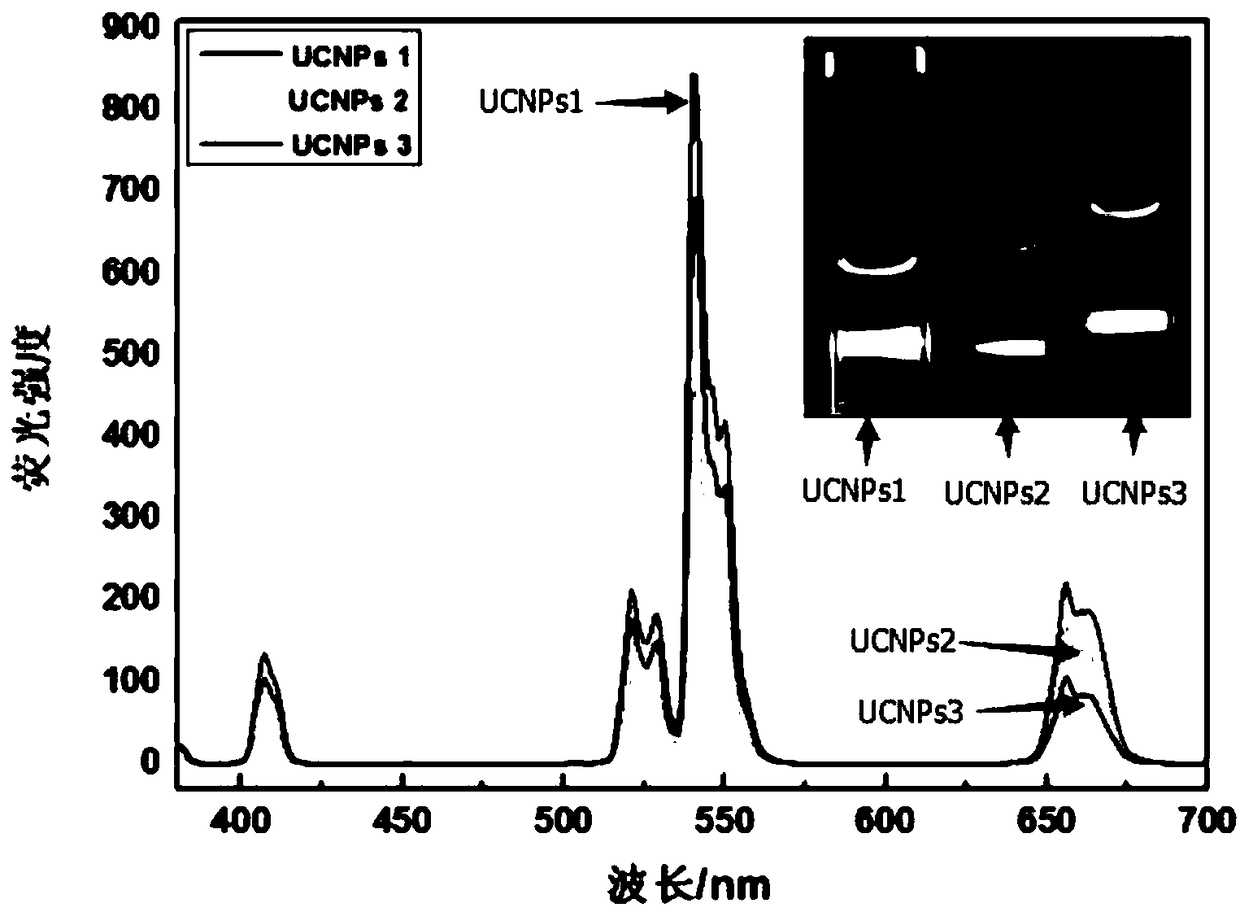 Method for preparing up-conversion aptamer test strip for rapid detection of ochratoxin A