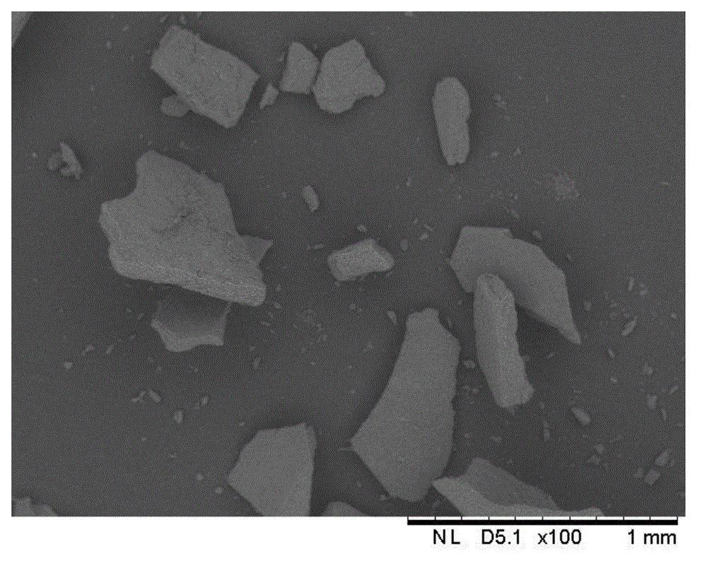 Method for extracting protein in biological sludge