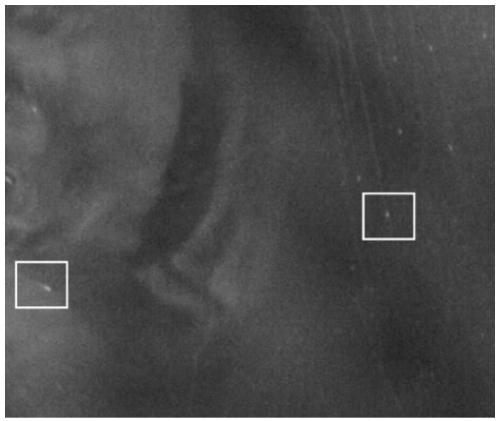 Marine moving target comprehensive detection method based on sequence images