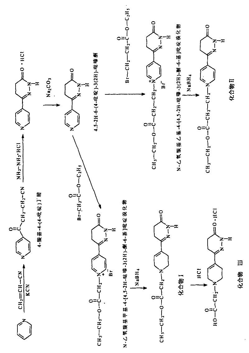 Pyridazinone derivative and synthetic method thereof