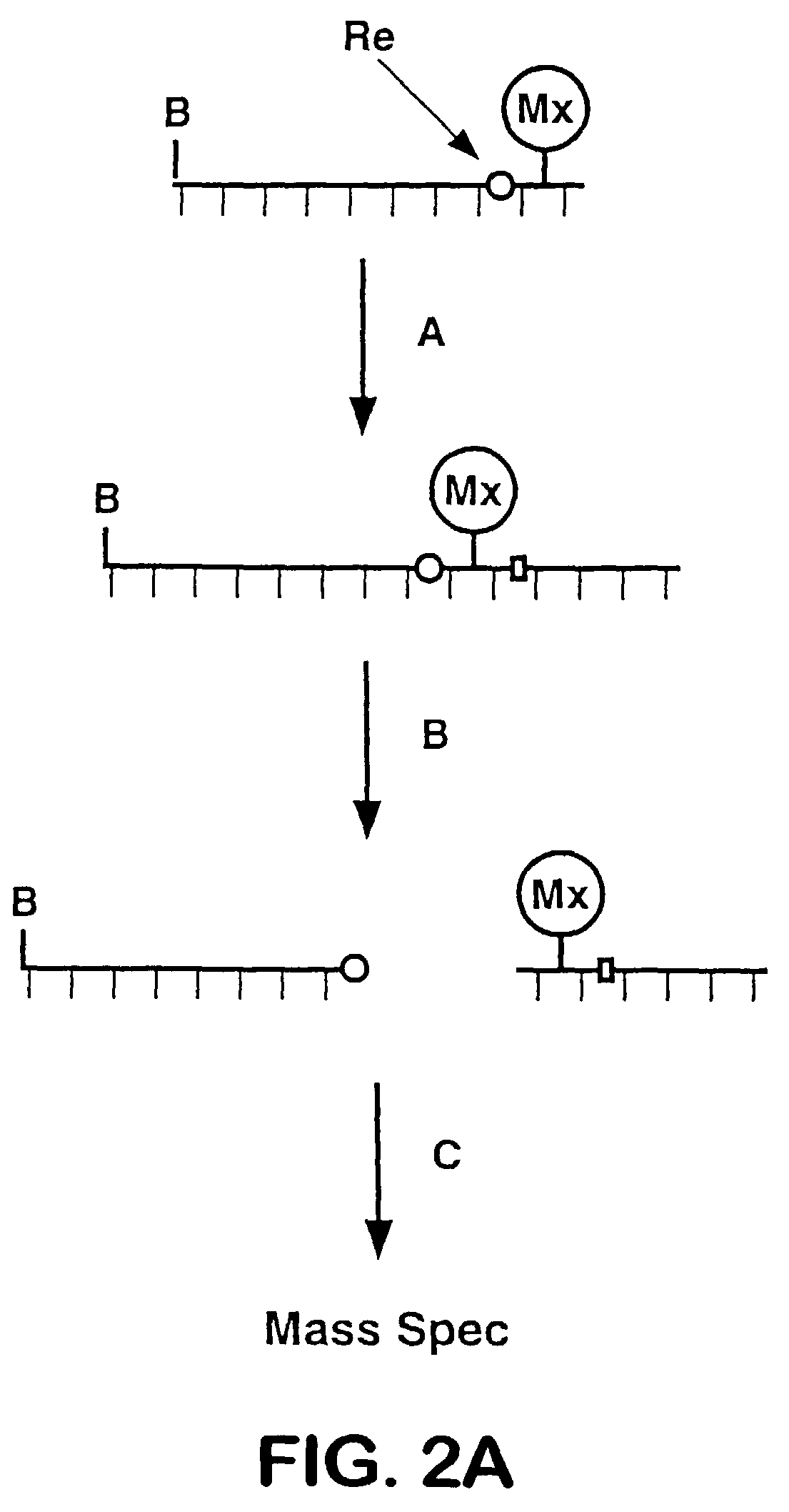 Releasable nonvolatile mass-label molecules