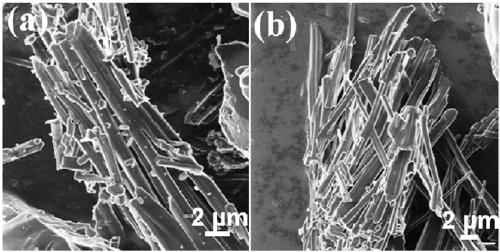 Porous boron carbonitride nanosheet layer and porous boron nitride nanosheet layer as well as preparation methods and applications of porous boron carbonitride nanosheet layer and porous boron nitride nanosheet layer as absorbing materials
