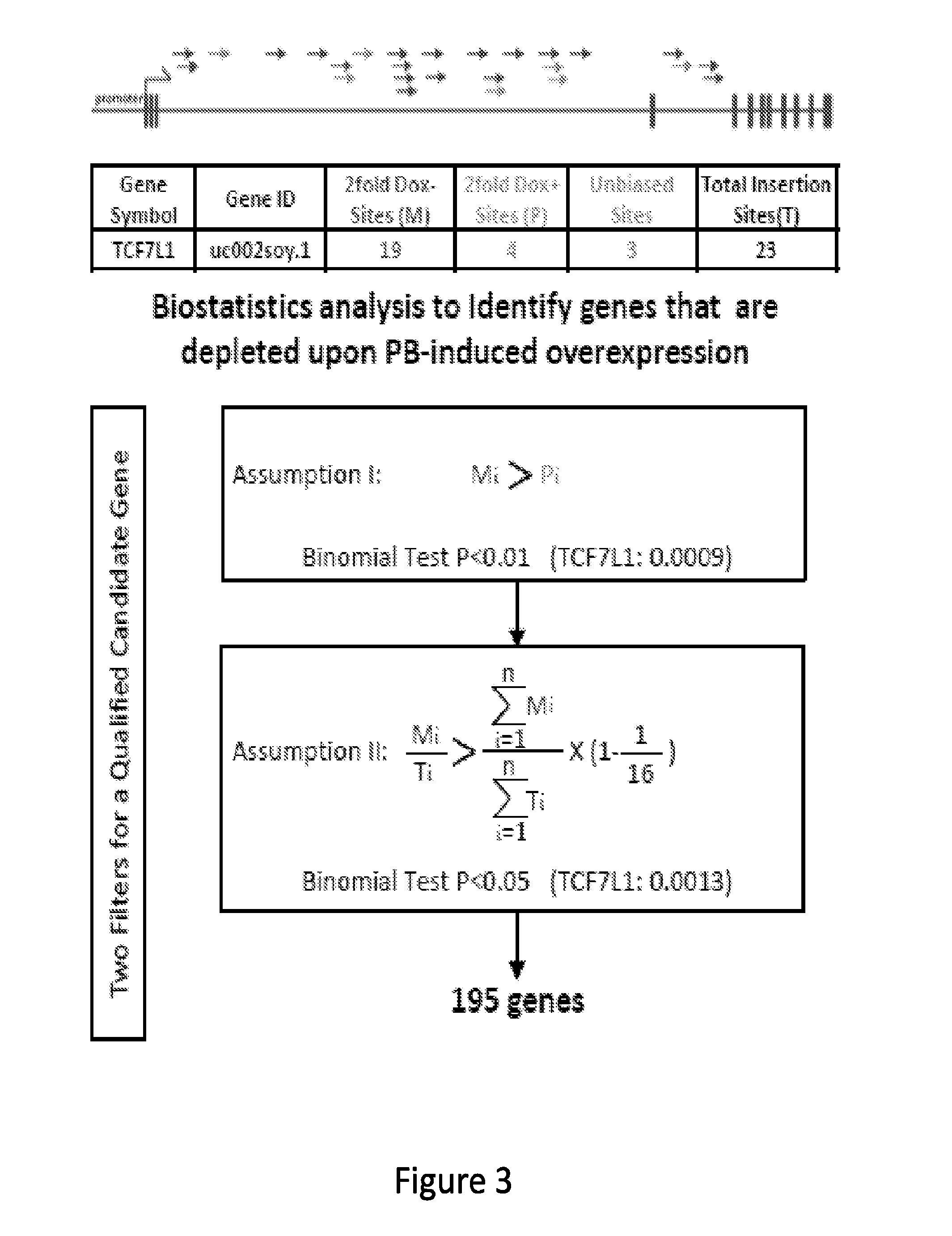 Compositions and methods of using transposons