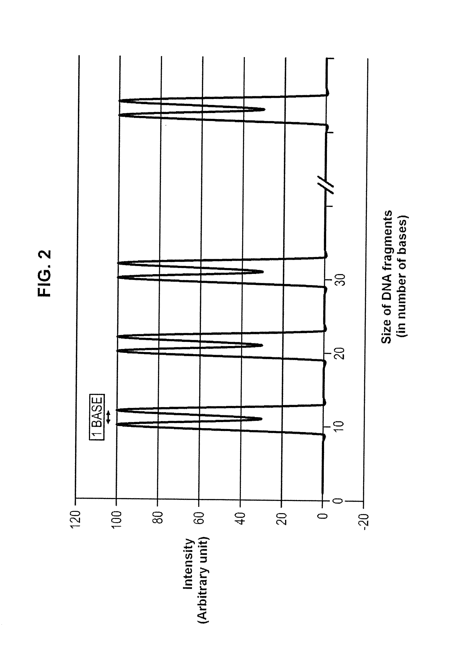 Size marker and method for controlling the resolution of an electropherogram