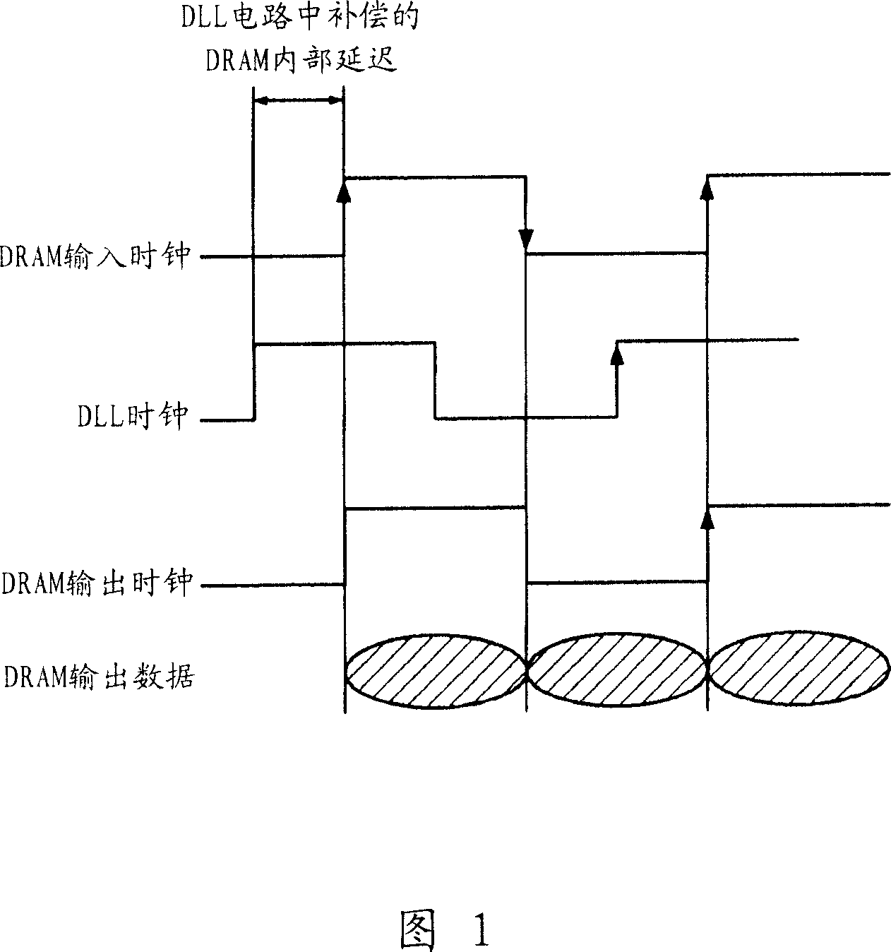 Delay locked loop circuit