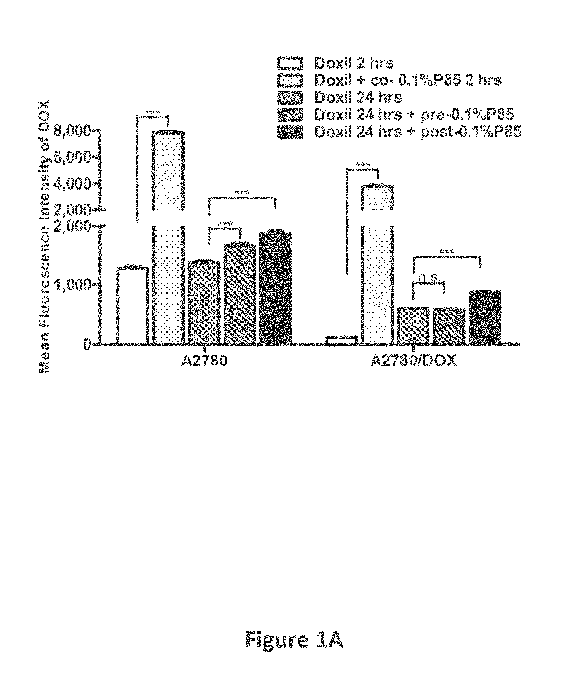 Compositions and Methods for the Treatment of Cancer