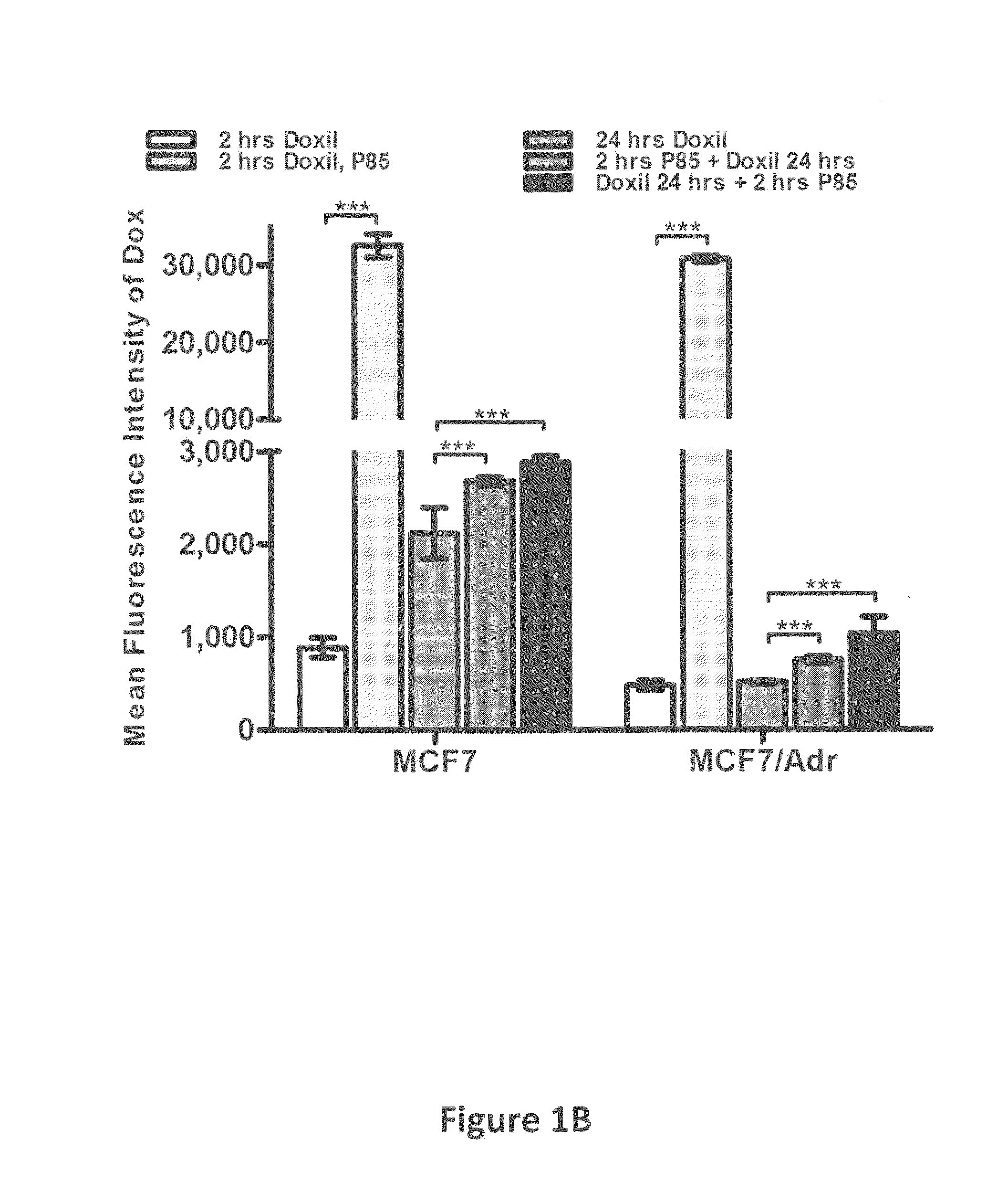 Compositions and Methods for the Treatment of Cancer