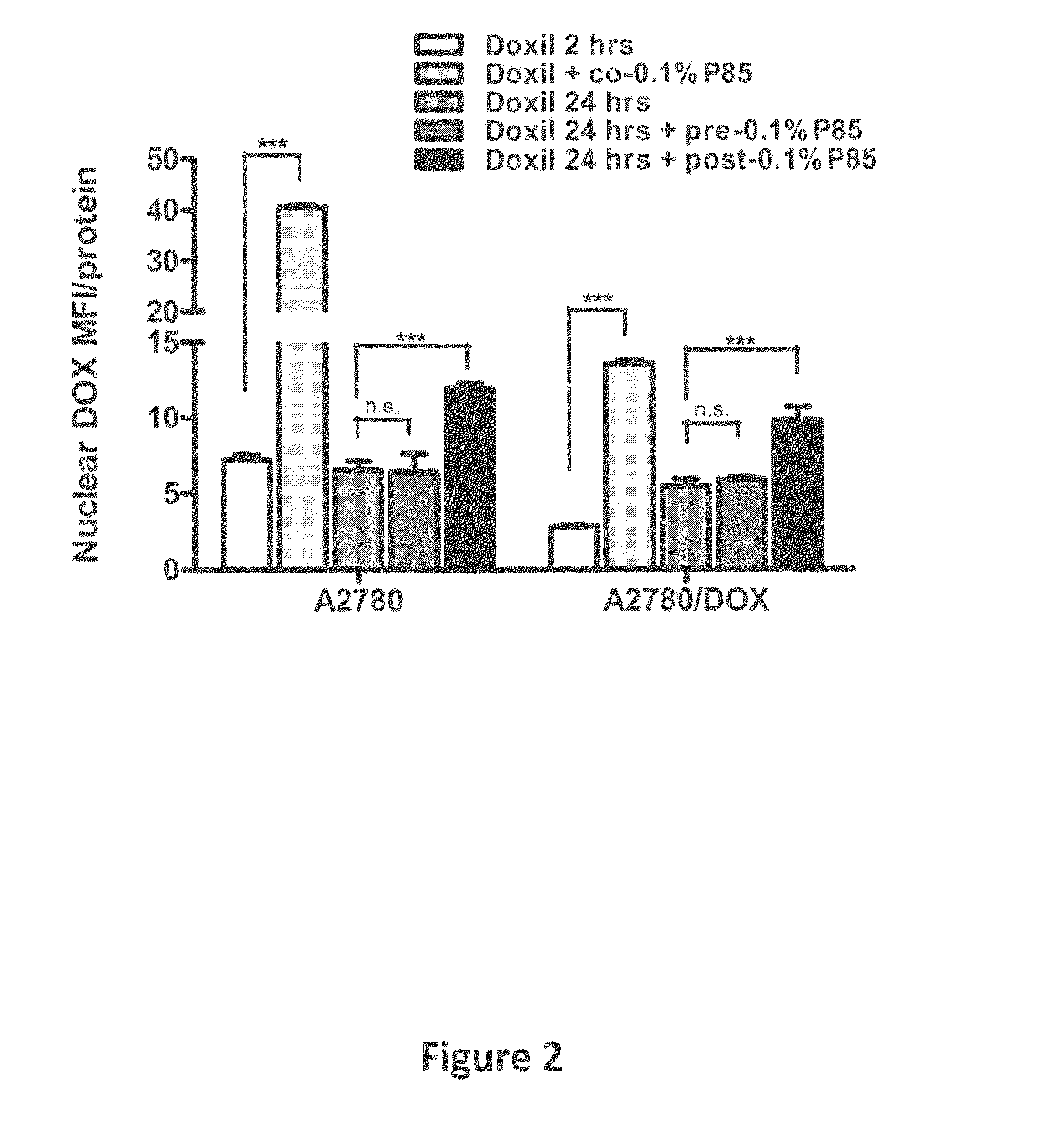 Compositions and Methods for the Treatment of Cancer