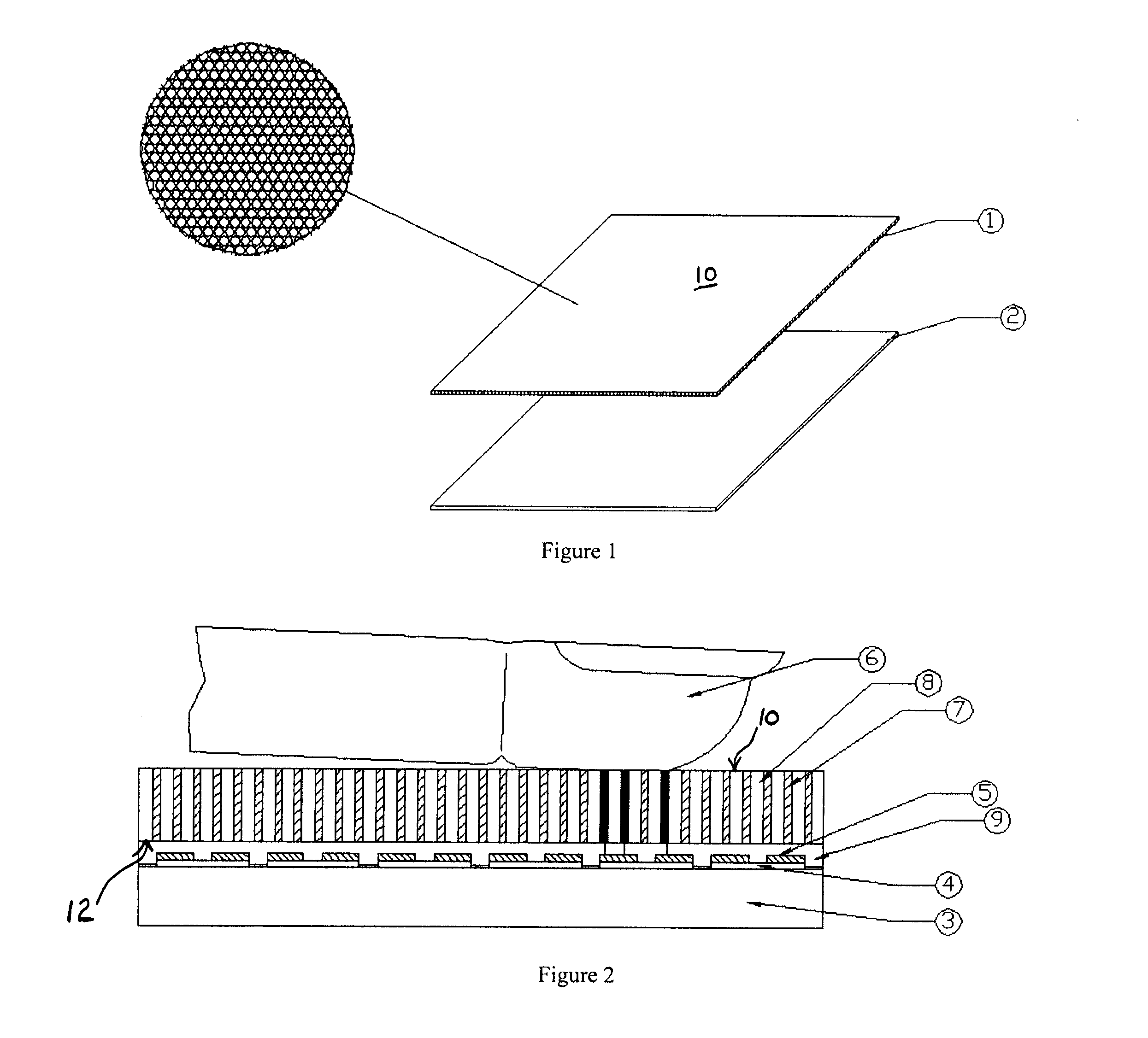 Biometric Scanner Having A Protective Conductive Array
