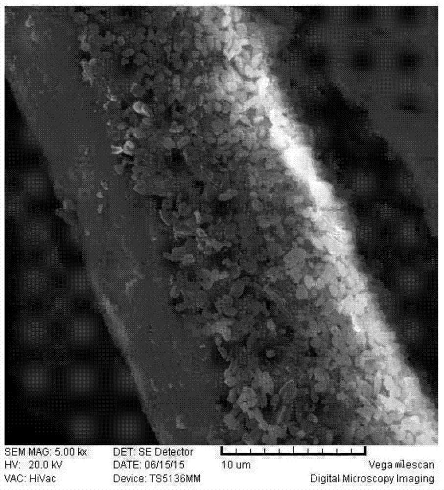 A preparation method of modified electronic cigarette floc filler fiber