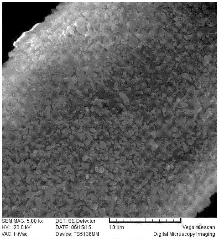 A preparation method of modified electronic cigarette floc filler fiber