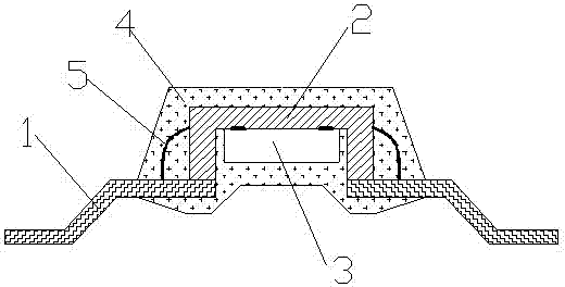 Anti-interference chip packaging structure