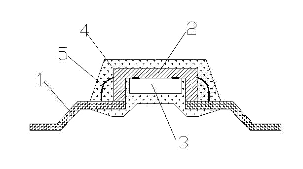 Anti-interference chip packaging structure