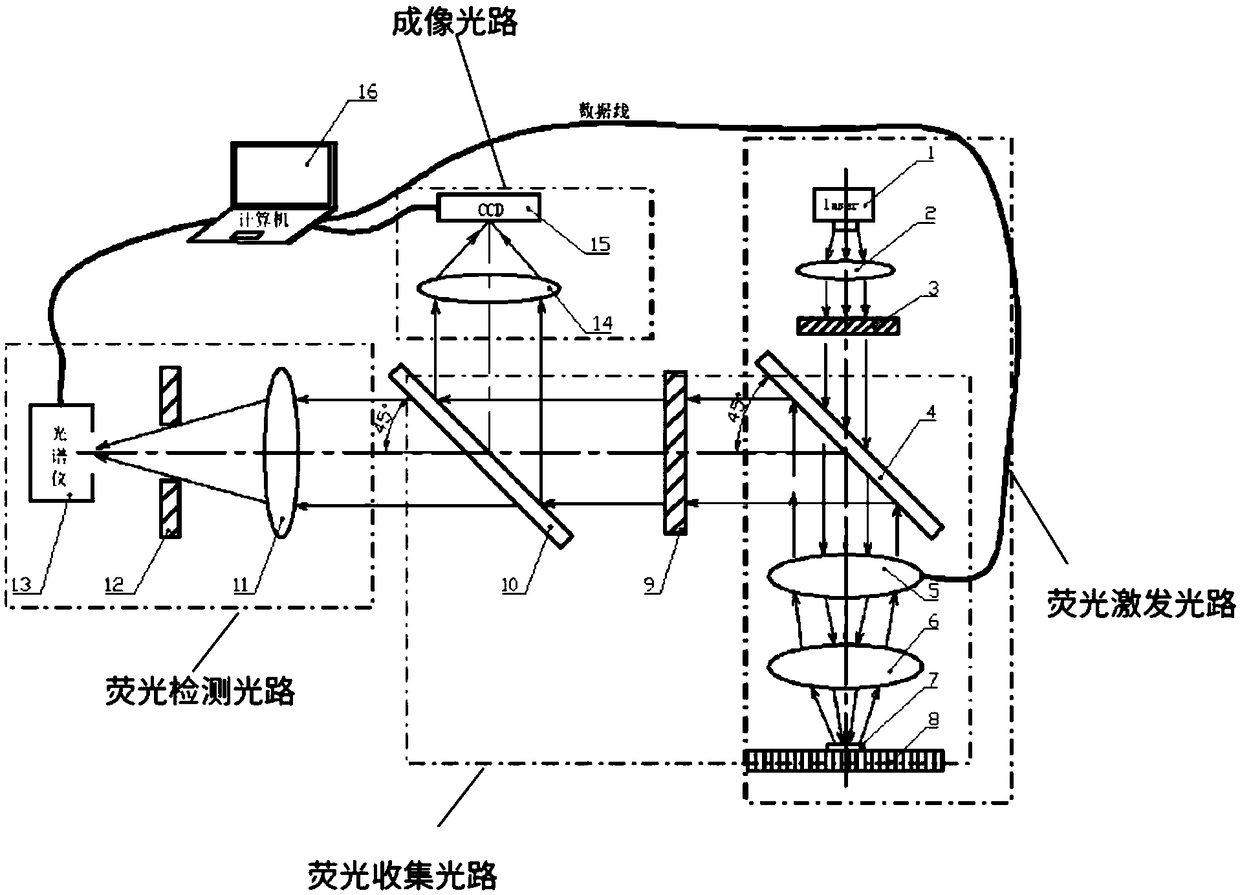 Autofocusing laser induced fluorescence spectrum detecting device and autofocusing laser induced fluorescence spectrum detecting method based on liquid lens