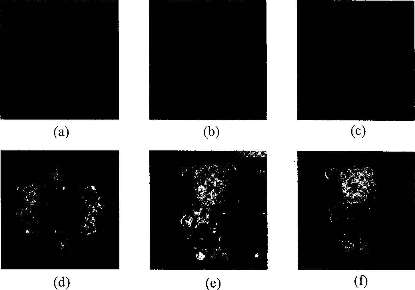 Method for acquiring colorful digital holographic image