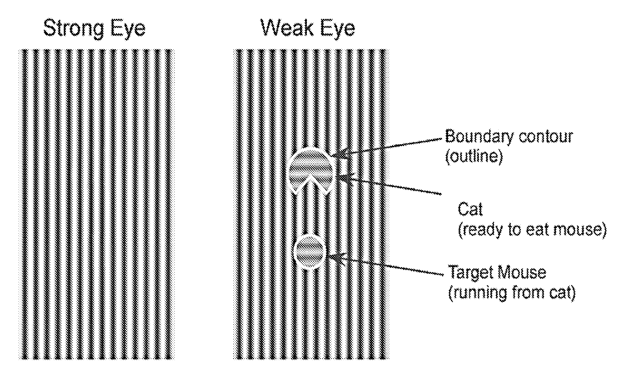 Systems and methods for improving sensory eye dominance, binocular imbalance, and/or stereopsis in a subject