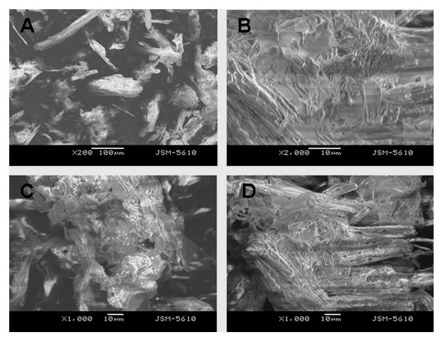 Method for extracting cellulose in one step