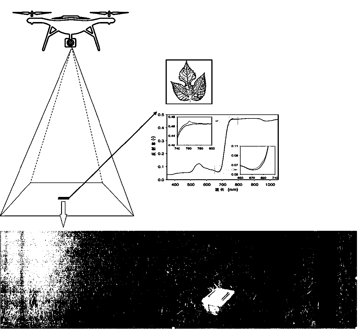 Method of detecting hidden ground objects under vegetation background based on unmanned gyroplane