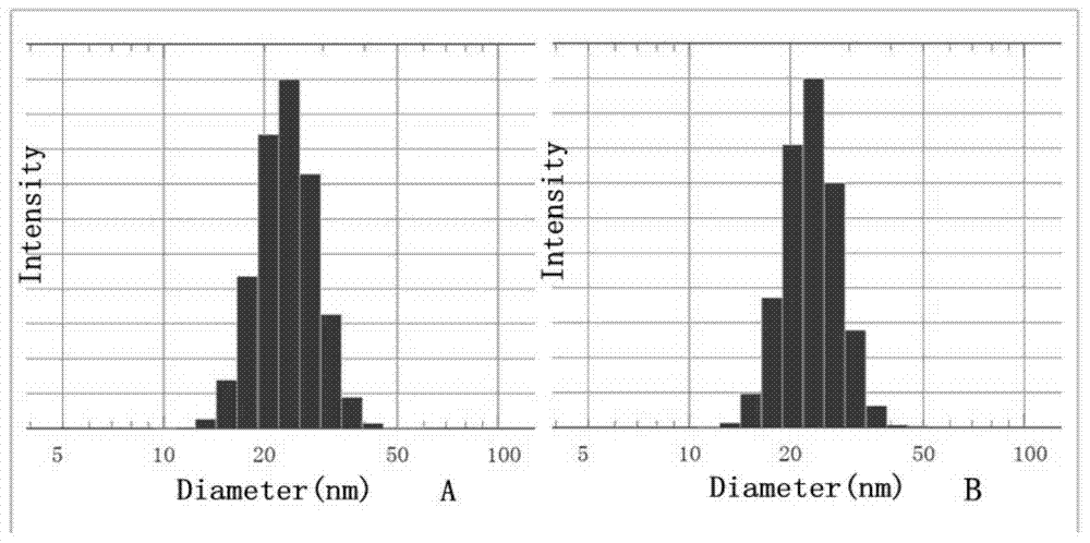 Curcumin micellar drug carrying system and preparation method thereof