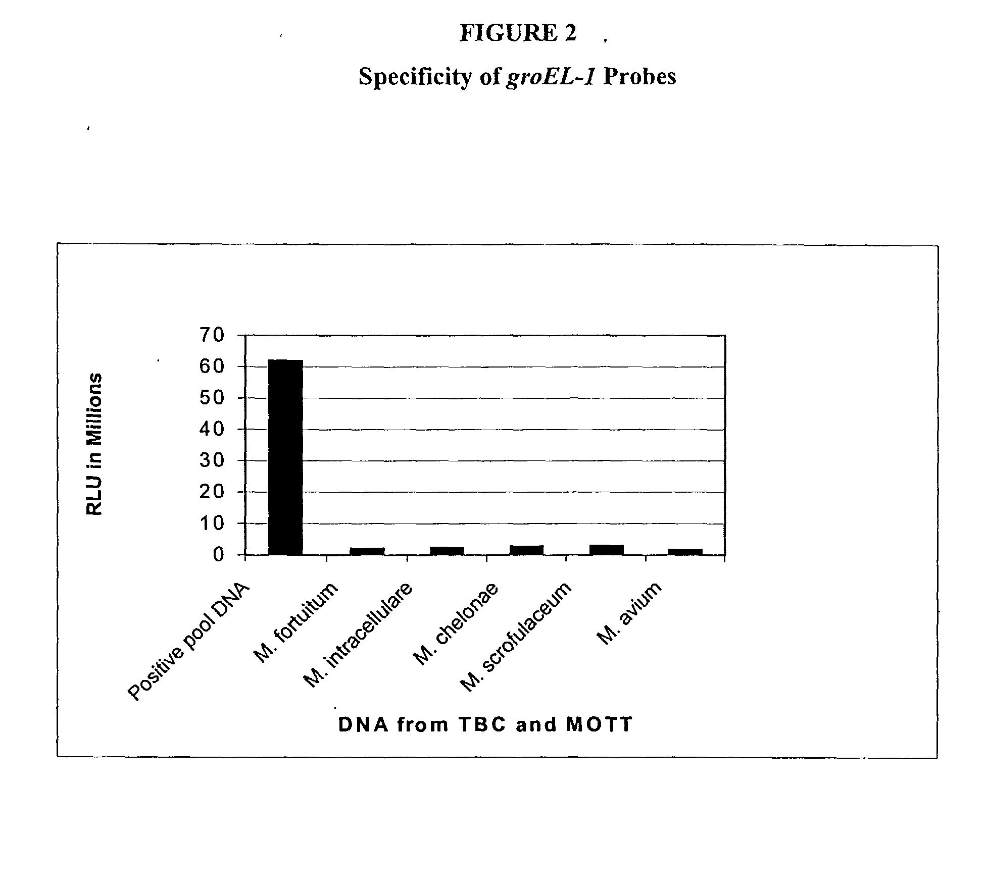 Compositions and methods for detecting pathogenic bacteria expressing chaperonin proteins