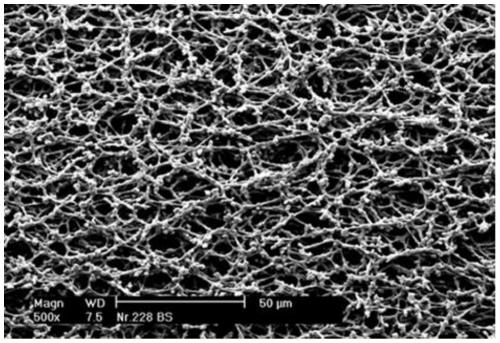 Method for continuously preparing large-aperture nitrocellulose film