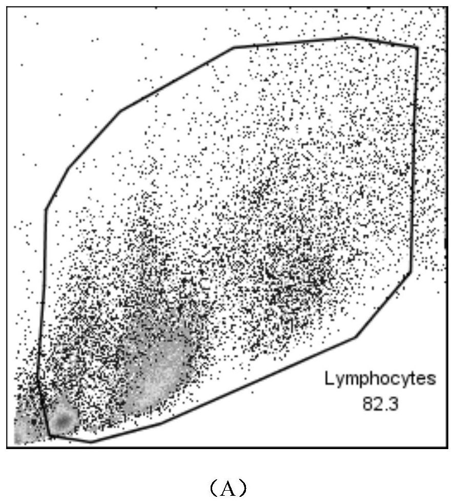 Method for quantitatively separating and detecting infiltrative immune cells of small intestine muscularis