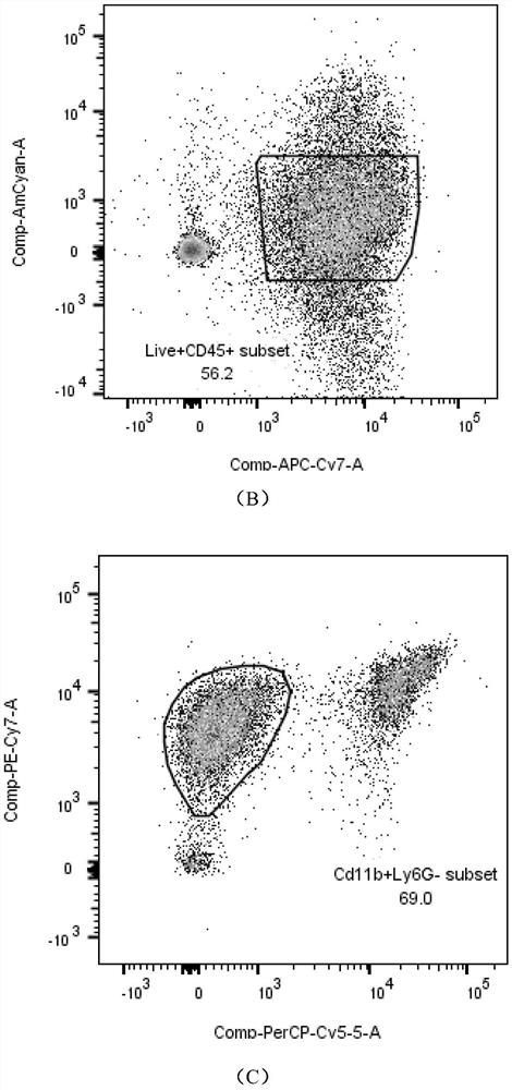 Method for quantitatively separating and detecting infiltrative immune cells of small intestine muscularis