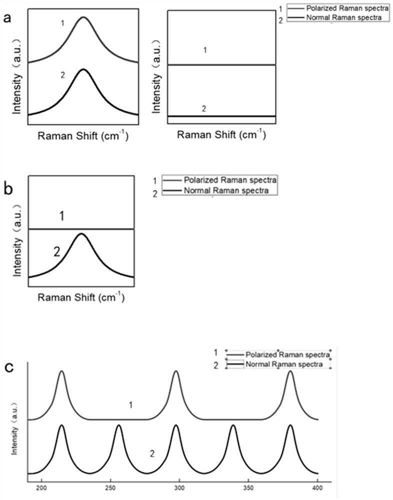A polarized Raman spectrum-coding based nano bar code intelligent label