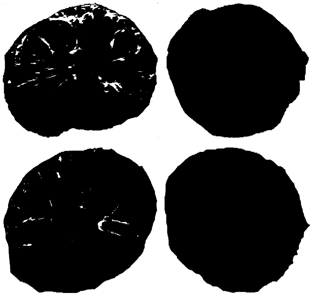 Preparation method of nanofiber micro-moisture oil-water separation material with porous surface and lotus-root-shaped cross section