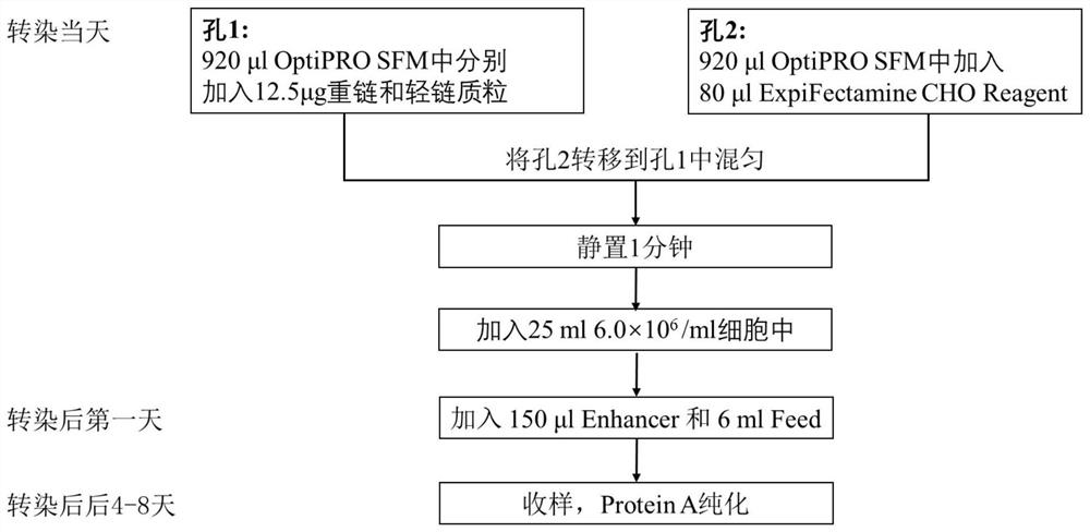 Affinity purification method for lowering protein content of host cell in monoclonal antibody production