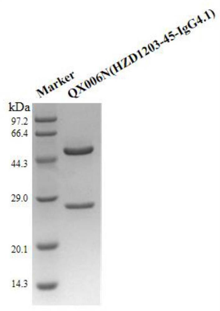 Affinity purification method for lowering protein content of host cell in monoclonal antibody production