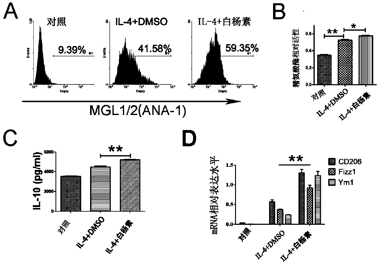 Application of chrysin to preparation of drugs for treating obesity-related metabolically triggered inflammations