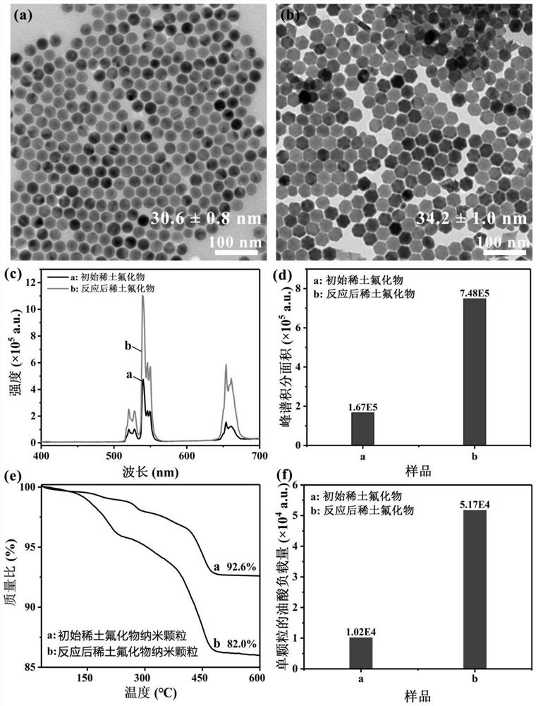 Method for improving surface loading capacity of rare earth fluoride nano material