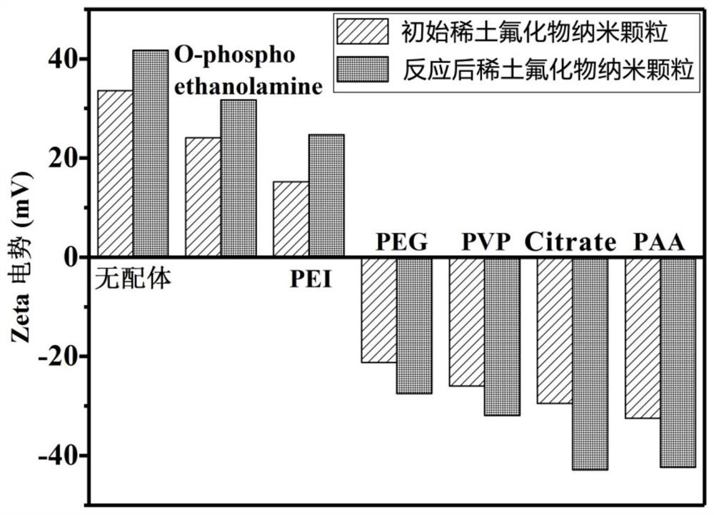 Method for improving surface loading capacity of rare earth fluoride nano material