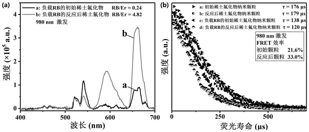 Method for improving surface loading capacity of rare earth fluoride nano material