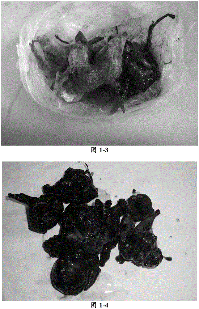 Monkshood product and fresh-keeping method thereof