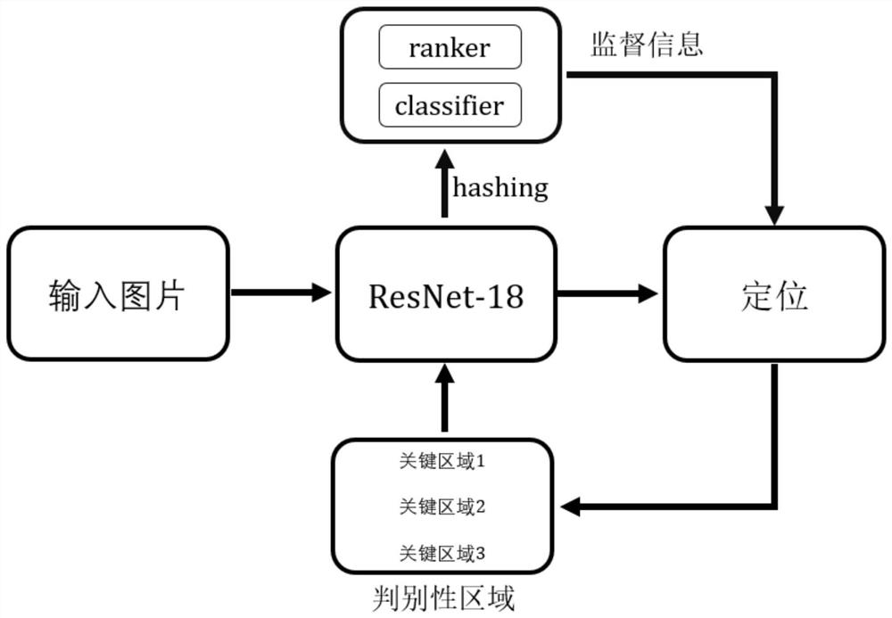 A Fine-Grained Image Retrieval Method for Simultaneous Localization and Hashing