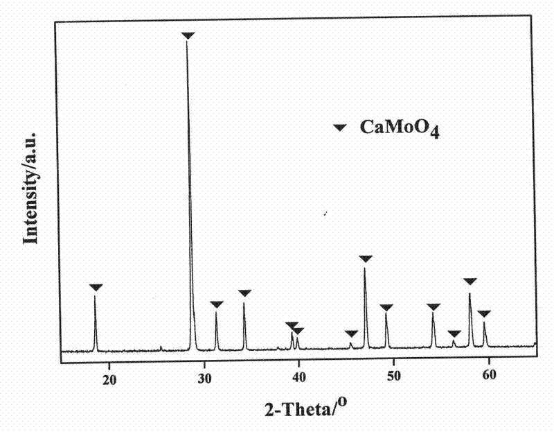 Preparation method of CaMoO4: Eu3+, Li+ red phosphor