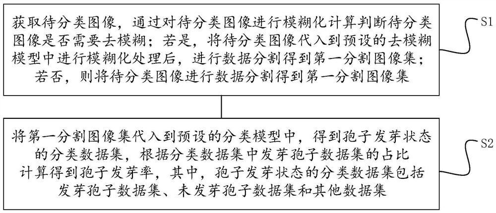 Spore germination rate calculation method and device and storage medium