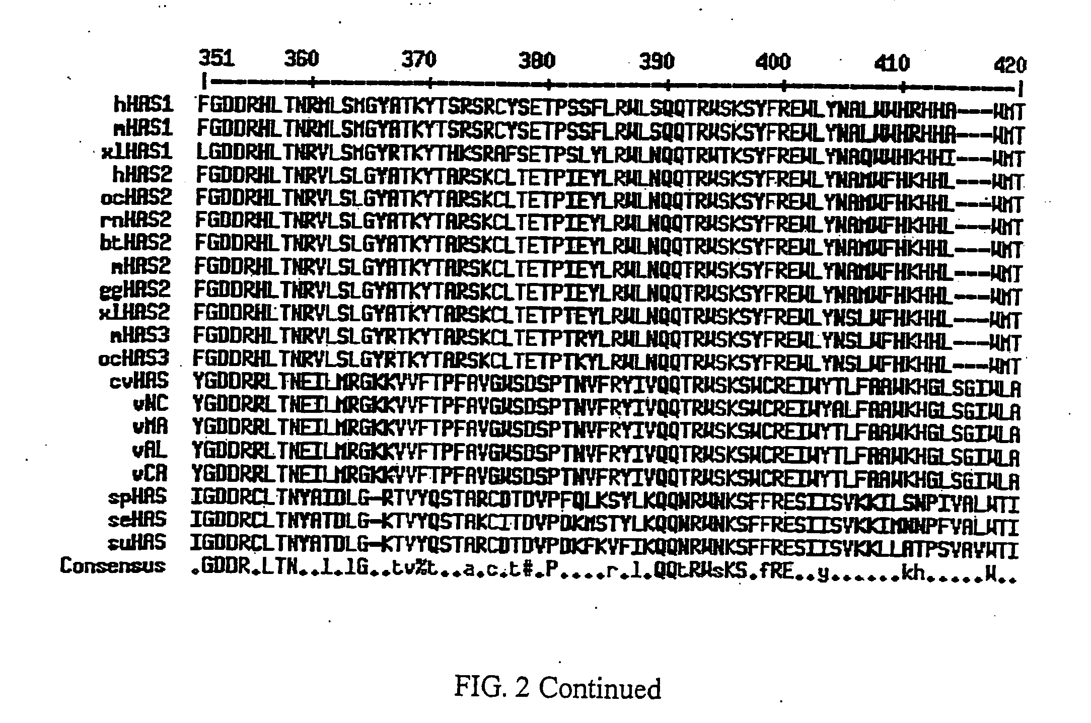 Hyaluronan synthase genes and expression thereof in Bacillus hosts