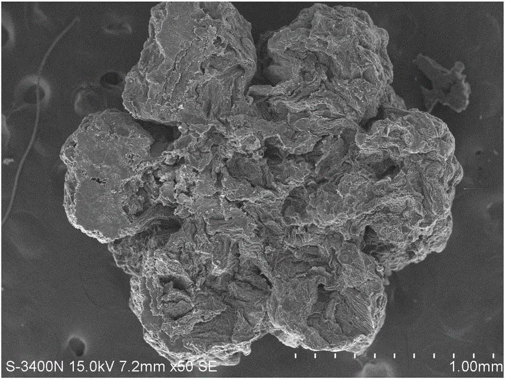 Melamine silkworm excrement composite carbon material, preparation method and application thereof