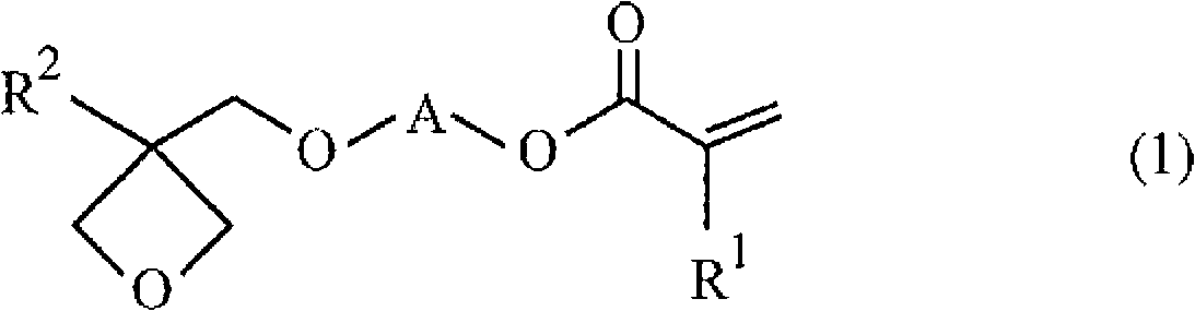 Radical polymerizable resin, radical polymerizable resin composition, and cured product thereof