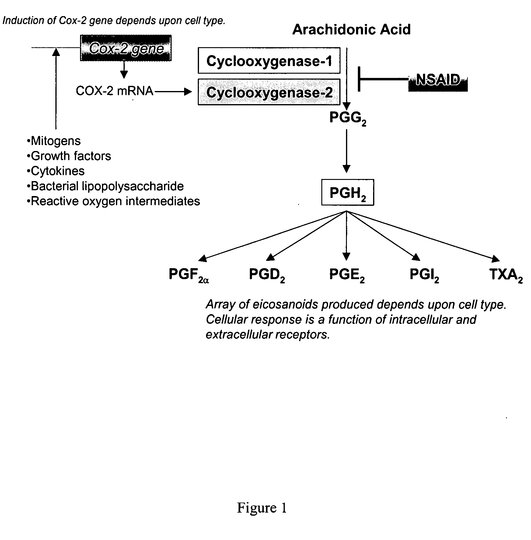 Compositions that treat or inhibit pathological conditions associated with inflammatory response